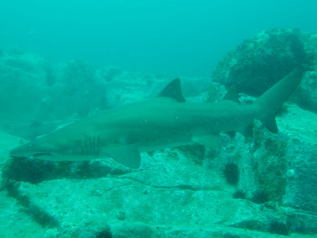 e6fa45be-6fe5-4971-9bc9-fd42bccf6322