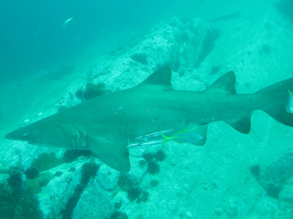 9b322fa7-a1f9-4219-929b-ec24da08ee65