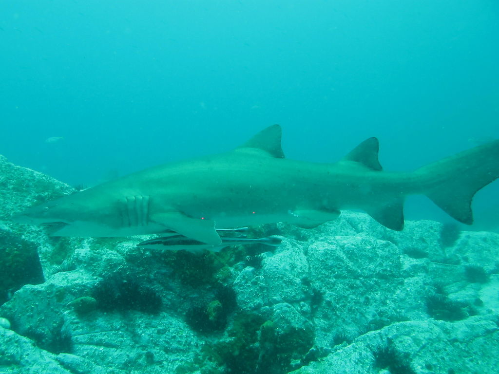 967fa963-80de-4314-b201-616a80b9828d