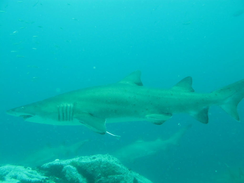 4e1ca866-5bf5-4ed3-bb9b-ad7fcd508bef