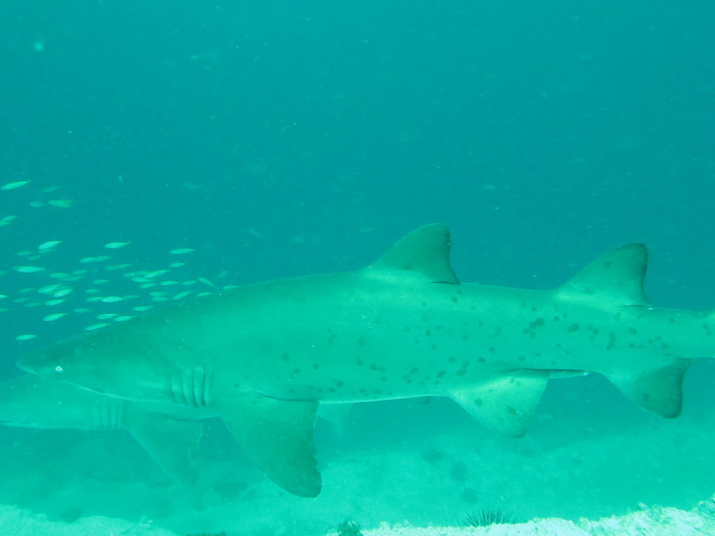 85620729-8b07-4953-8713-a06cc264ff4a