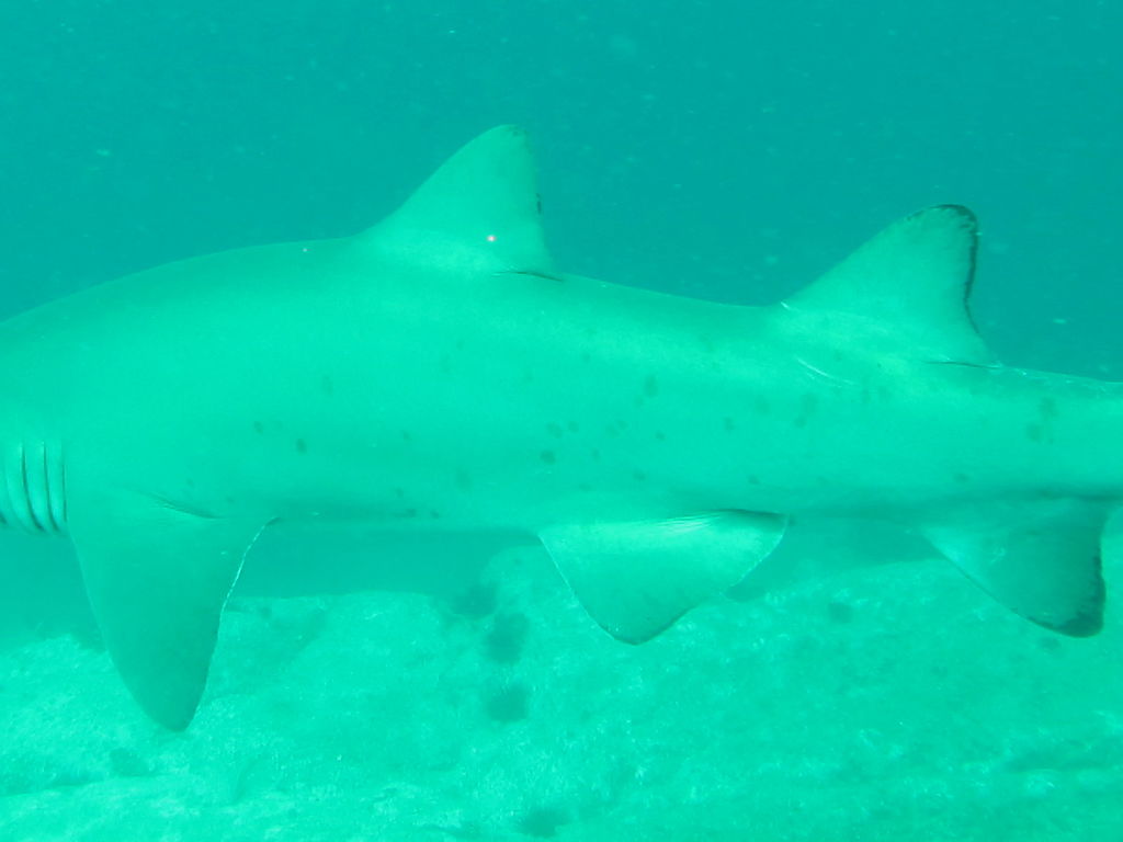 a9a76792-5753-4c4f-b5ce-3dddb195a361