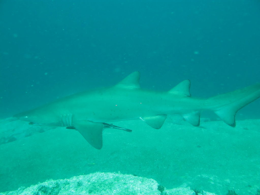 967fa963-80de-4314-b201-616a80b9828d