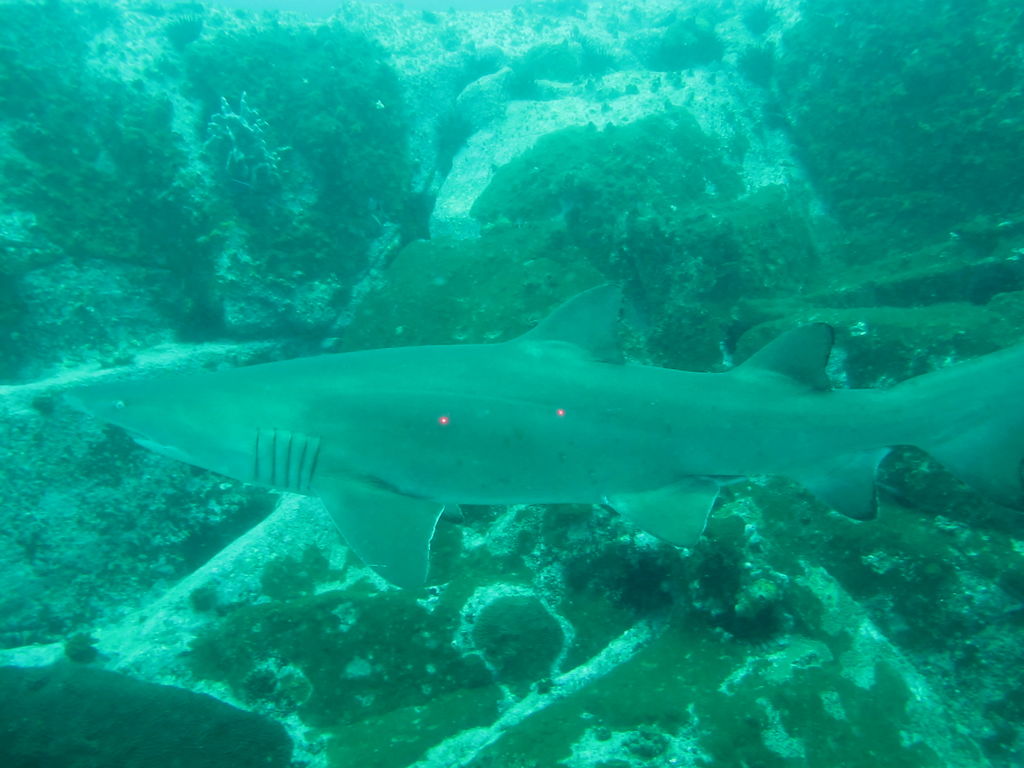 e4a2616e-57bf-42b4-bf1f-cf31bf953484