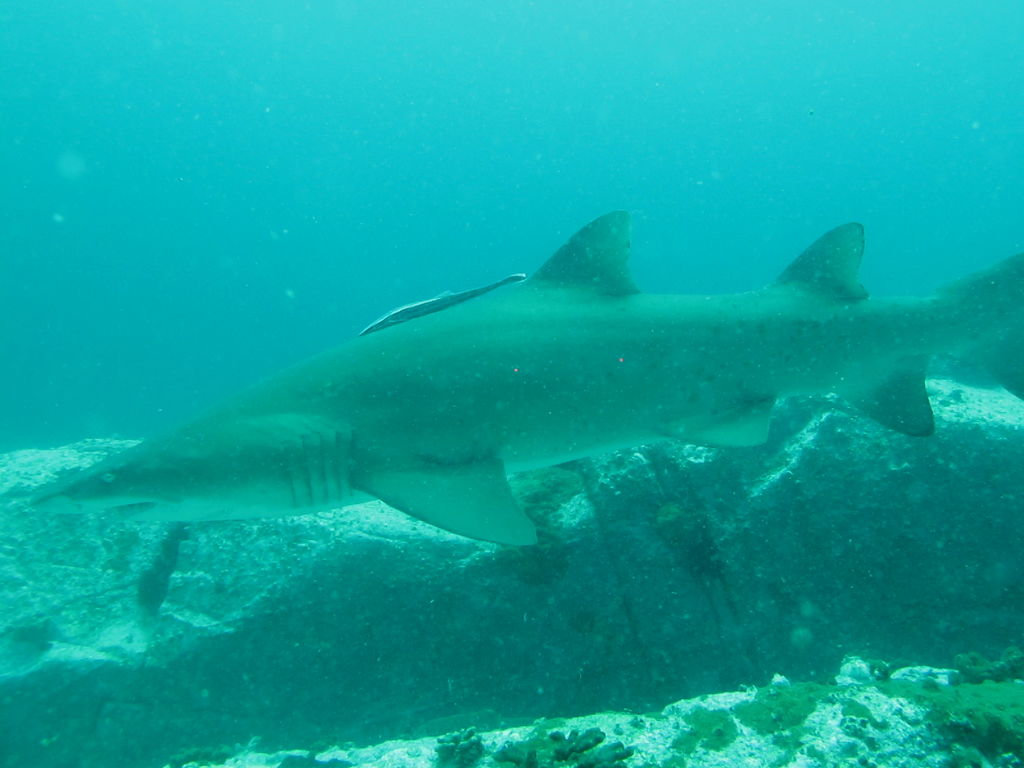 8639f58c-80c9-403e-a98f-f35afa34e84e