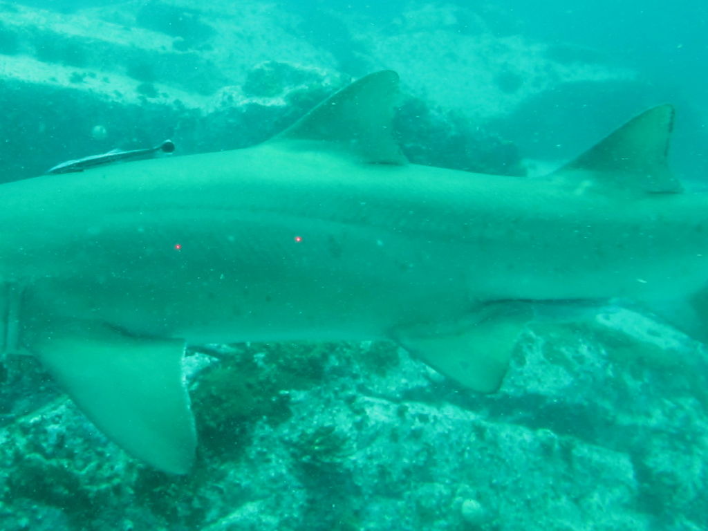 9cc5e305-9815-4f91-a317-b47559c4ffe1