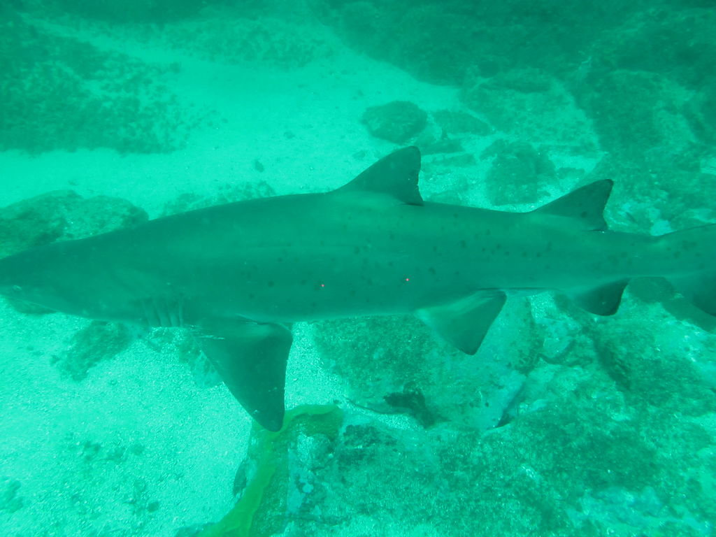 d793c608-eeb0-4d34-883c-fe54b704bb00