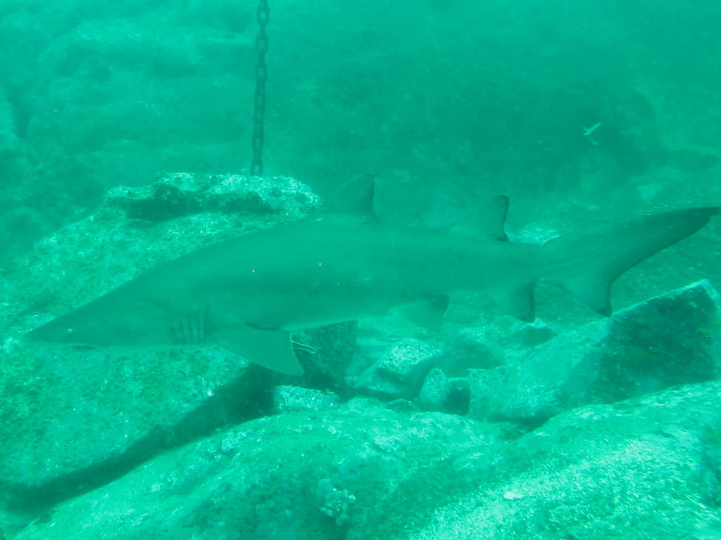 e3aefae6-c56c-4086-aa50-72d039f394dc