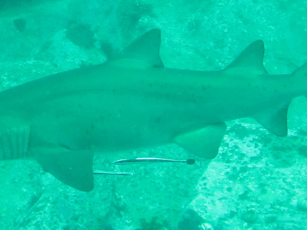 c3f96b7b-40bc-444d-84e9-ccccc7533921