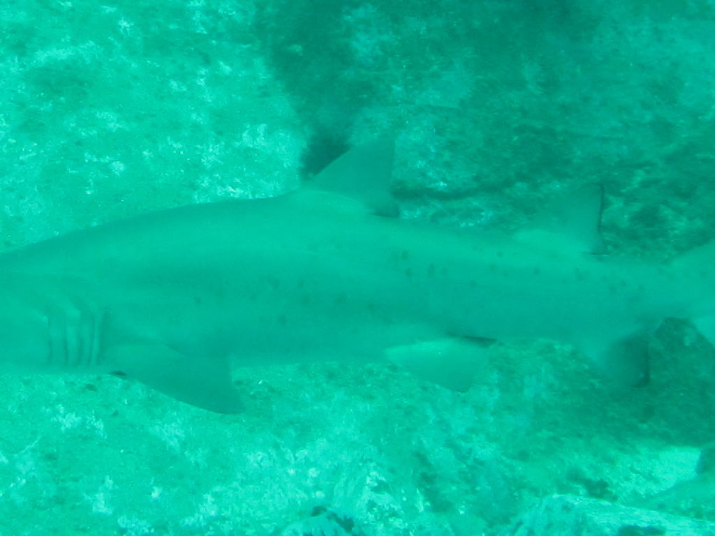 313b24b3-12b3-48a4-a41c-98277fd342fe