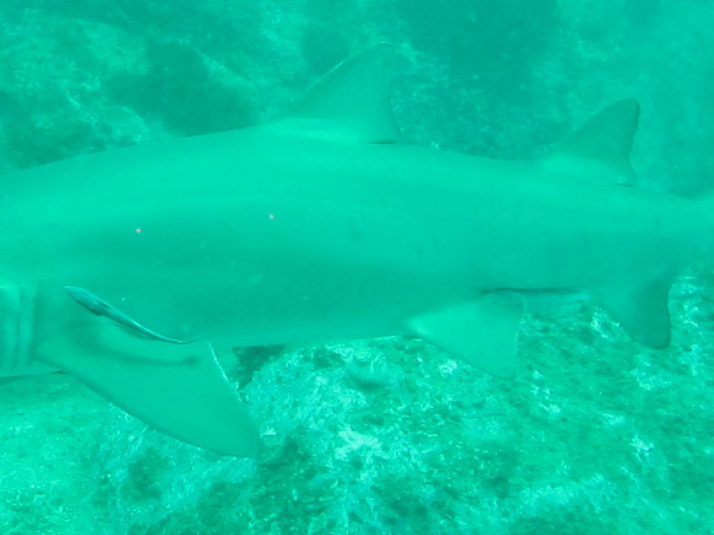 9cc5e305-9815-4f91-a317-b47559c4ffe1