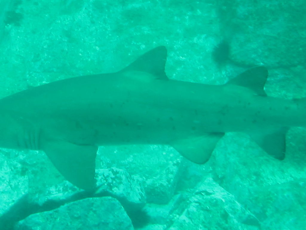 8172dc99-cdc2-442e-ba67-cc50aed9a6d7