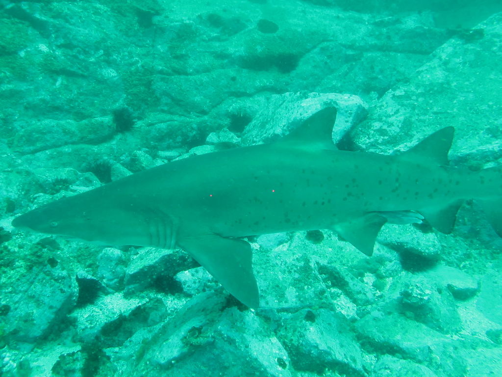 58610cb0-111d-4678-843d-ab4e928e2577