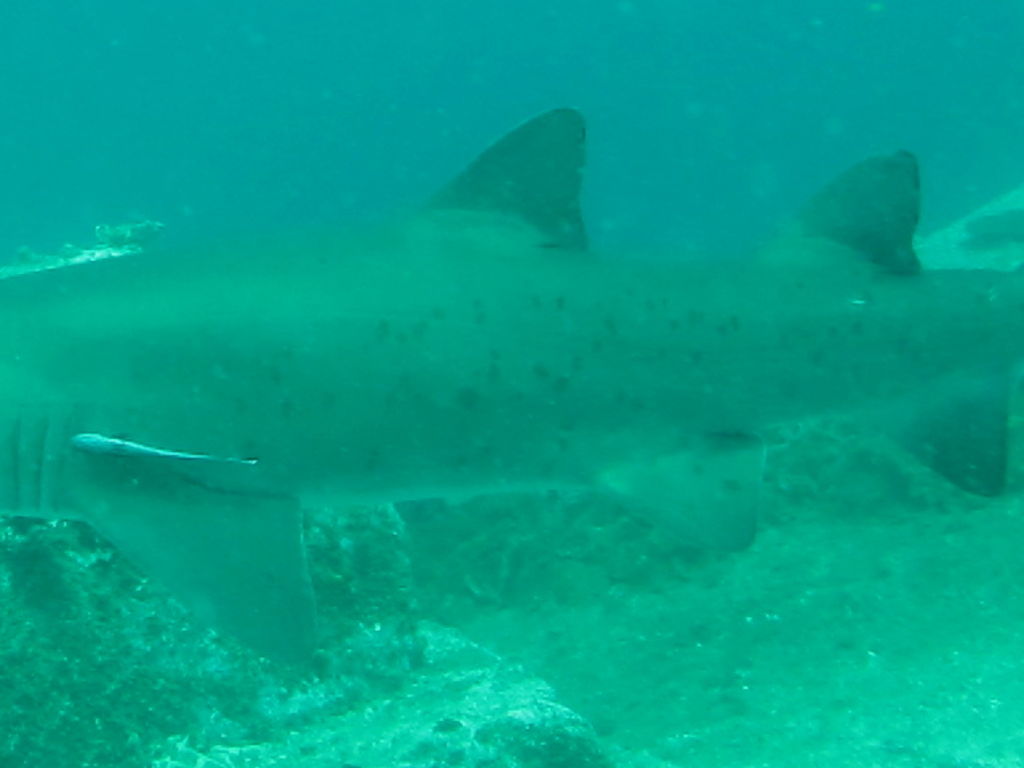 e5502d8b-f695-4d41-9be9-78c03526be93