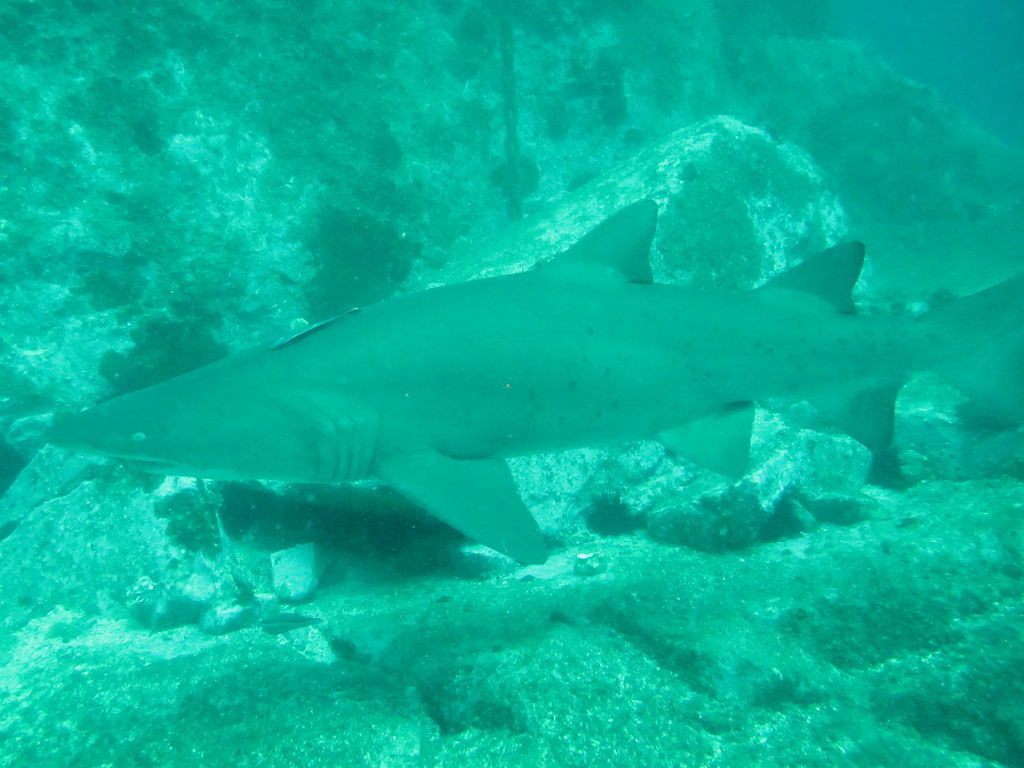 7a528646-f863-4202-8a38-21d394d70ccc