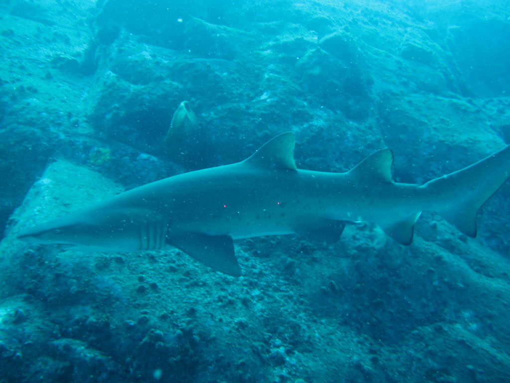 64de8ebf-c500-4ab7-8c53-c4881a08588b