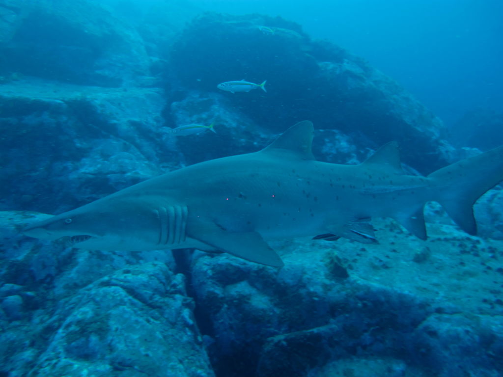 08892bcc-241d-4fd0-845d-ccbd4bea8021