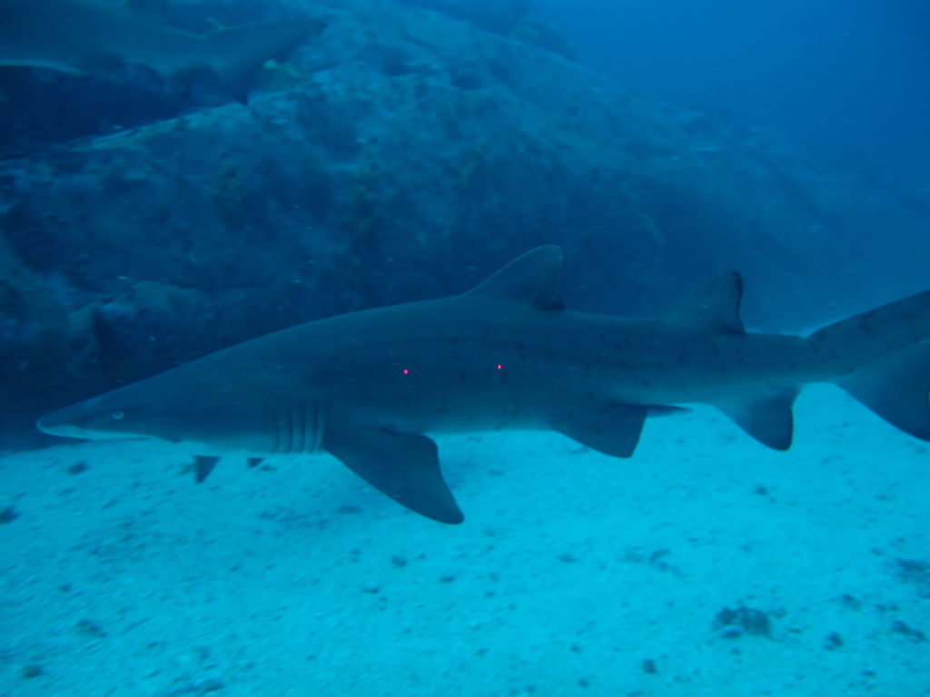 581cec62-5692-42d8-9870-5876a5e0ab18