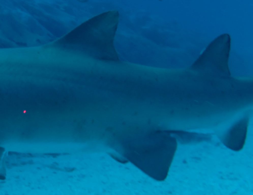 b3410681-2102-4288-99b2-a18b27840956