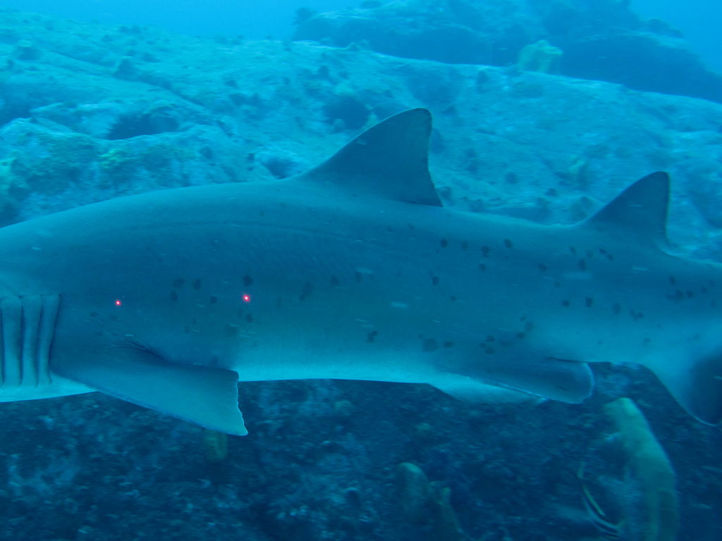 d0ff49c6-73c7-42bc-90a5-aef23a8edbf4