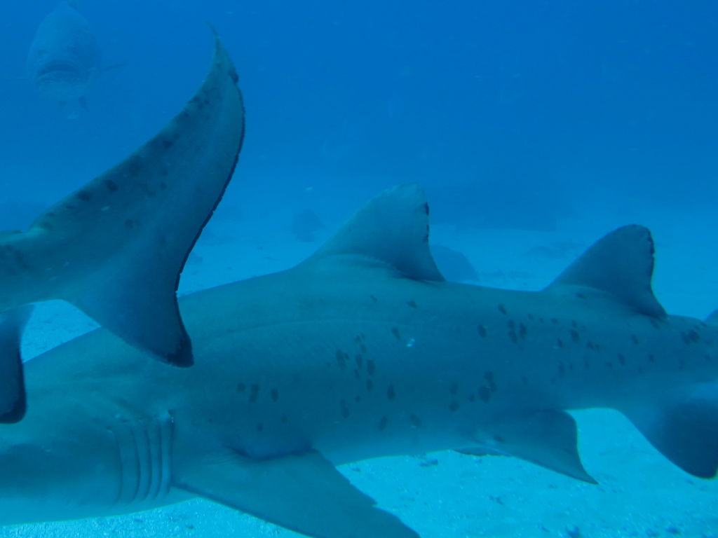 e6f0f9b9-4a69-4762-9391-9490b0b90e7a