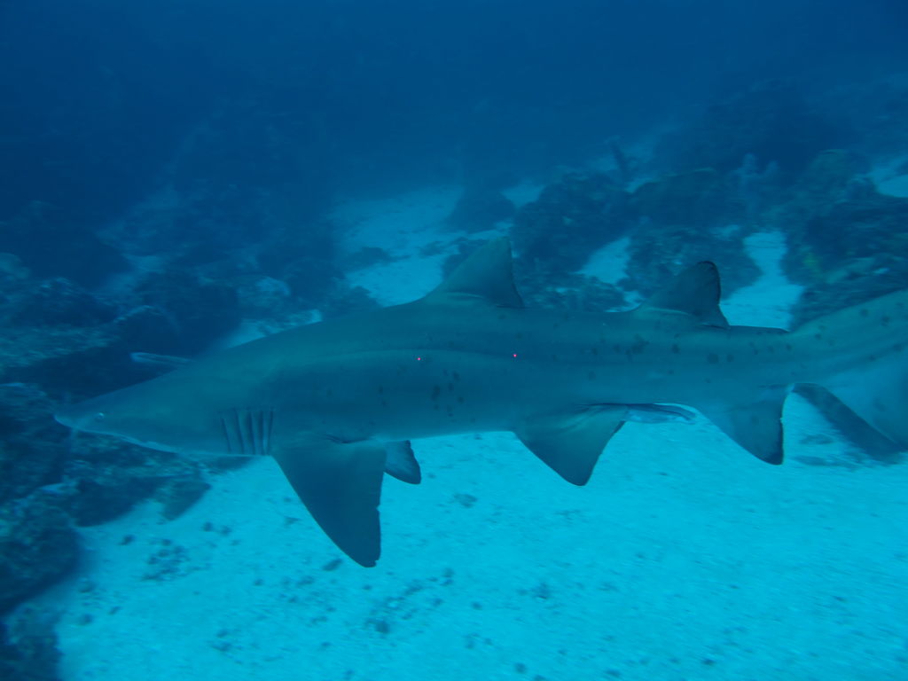 ed688cd6-3a61-46d6-86fd-61590b3c6fbc