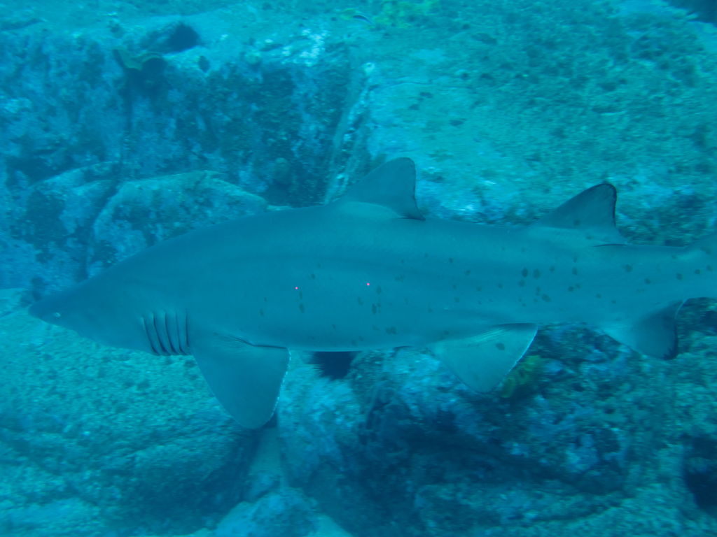 35f51a25-55f6-43d2-92ab-c0a958d22e55