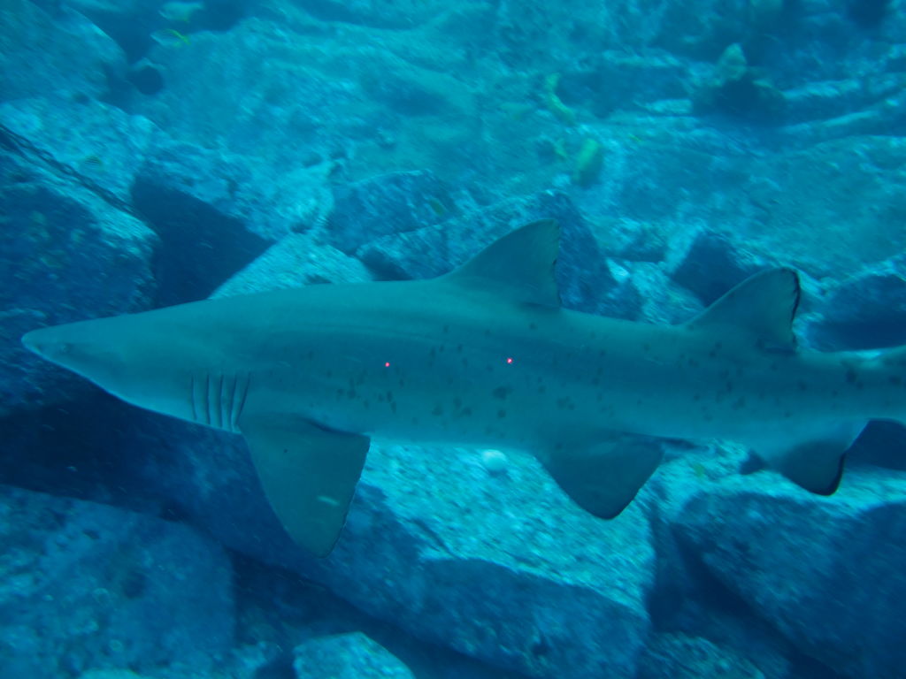 64de8ebf-c500-4ab7-8c53-c4881a08588b