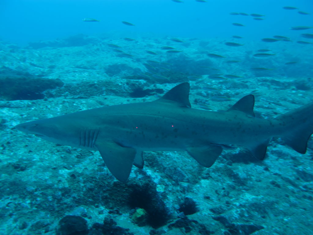 64de8ebf-c500-4ab7-8c53-c4881a08588b