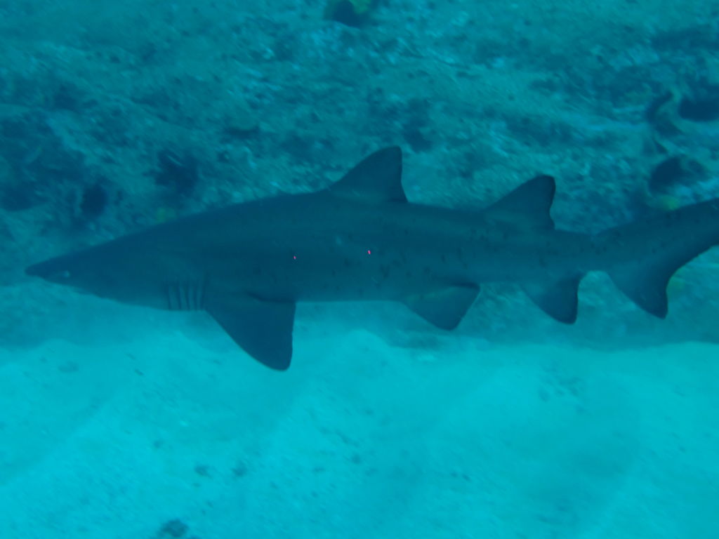 3aa37cca-5469-4cc2-8450-716ca74ddb28