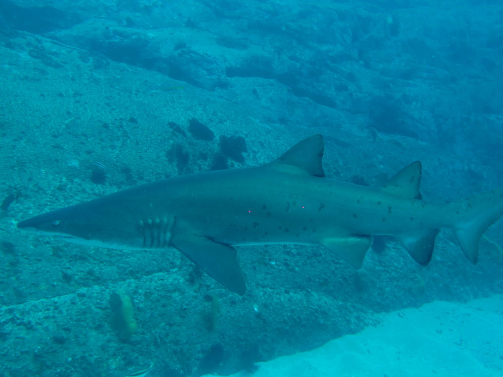 6406df9e-f628-41a9-9a33-09310a2622c8