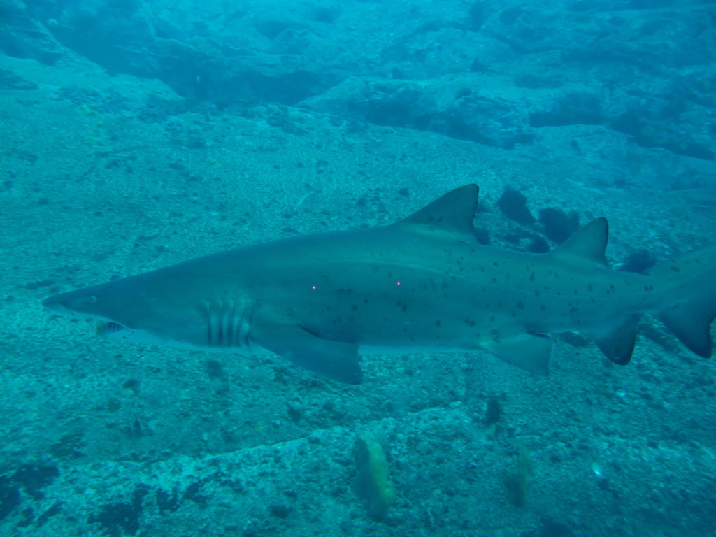 2b0ad4a5-c11d-4a80-93eb-6afbdb9c1647