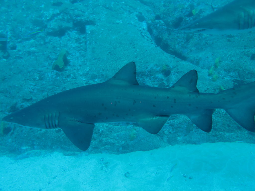 6406df9e-f628-41a9-9a33-09310a2622c8