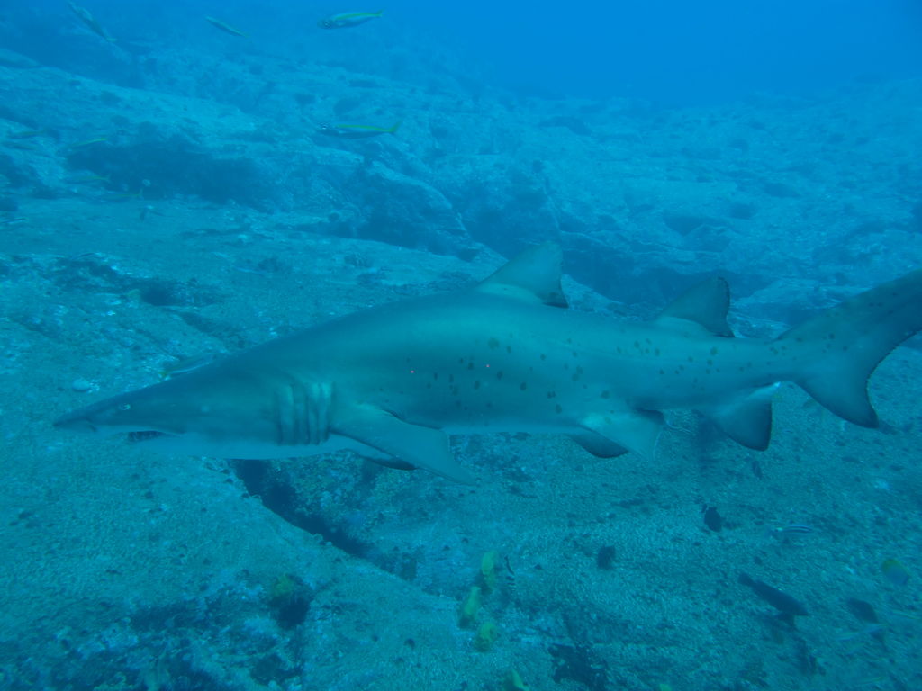 34acc899-6eeb-4f61-85e5-ad64a59fd5ca