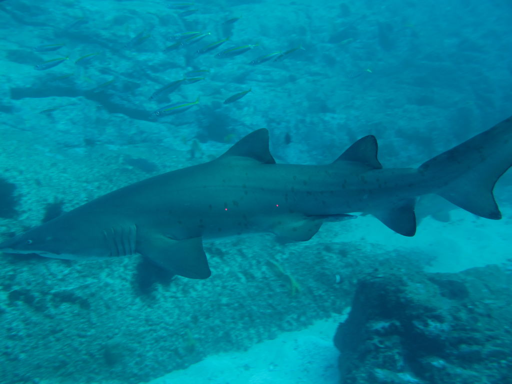 581cec62-5692-42d8-9870-5876a5e0ab18