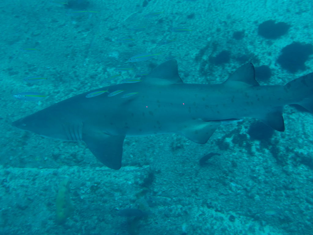 581cec62-5692-42d8-9870-5876a5e0ab18