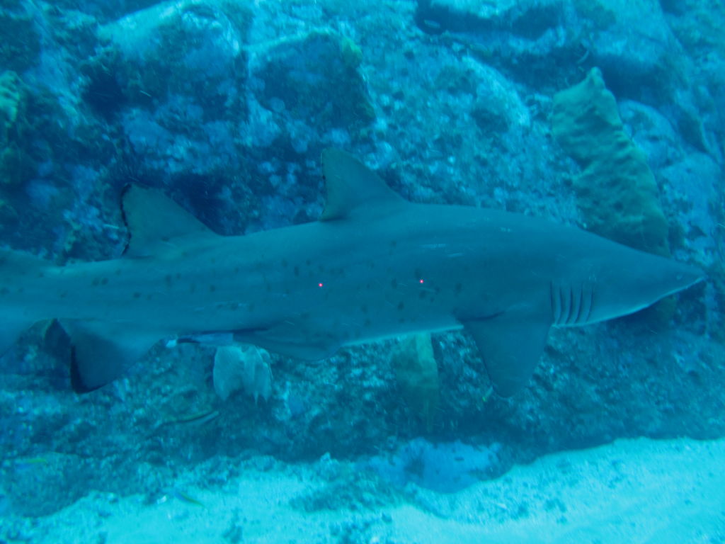 491aef20-dfec-488c-a3a8-764b95677935