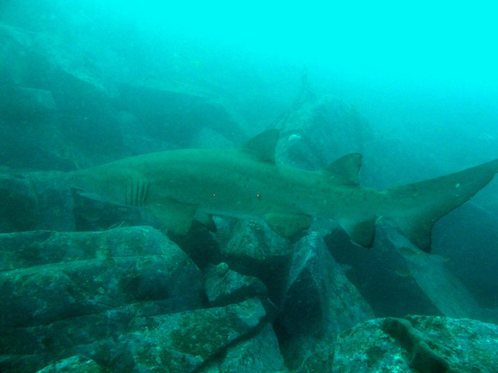 b10b7fec-d93e-4dea-8630-ce4712081558