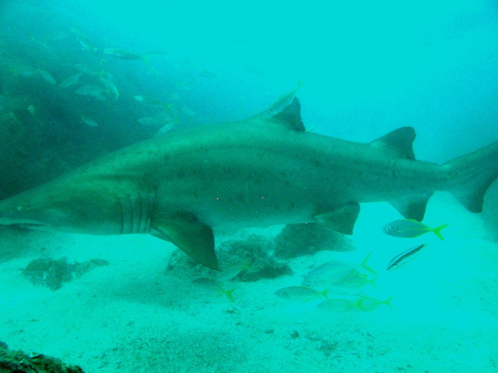 da529365-243f-4608-aa8f-4b660c335d60