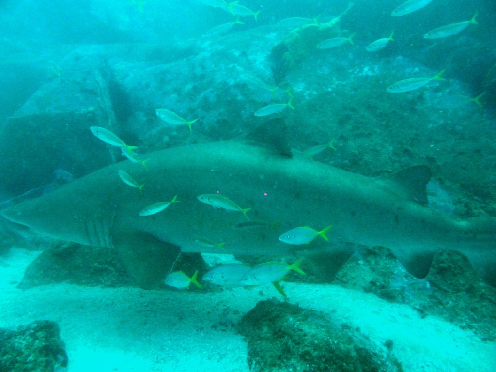 da529365-243f-4608-aa8f-4b660c335d60