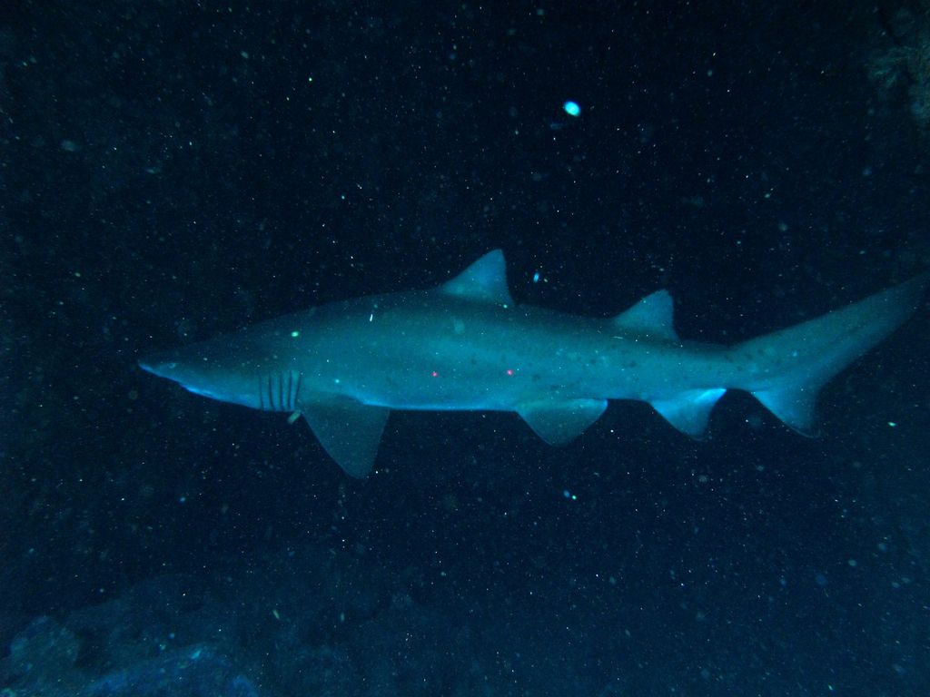 1abc3853-0528-4d43-bf74-7e7d578e7062