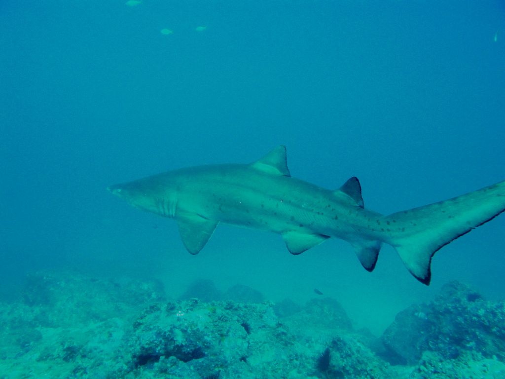 1abc3853-0528-4d43-bf74-7e7d578e7062