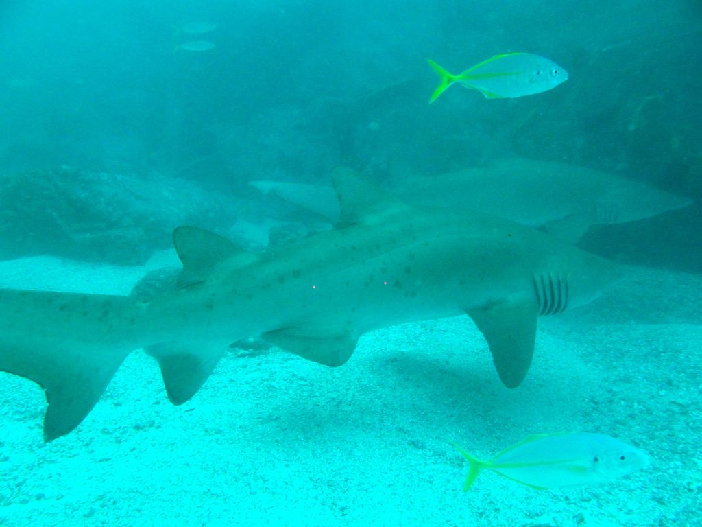 4a427793-82da-4ebb-9905-0b6bd94c4698