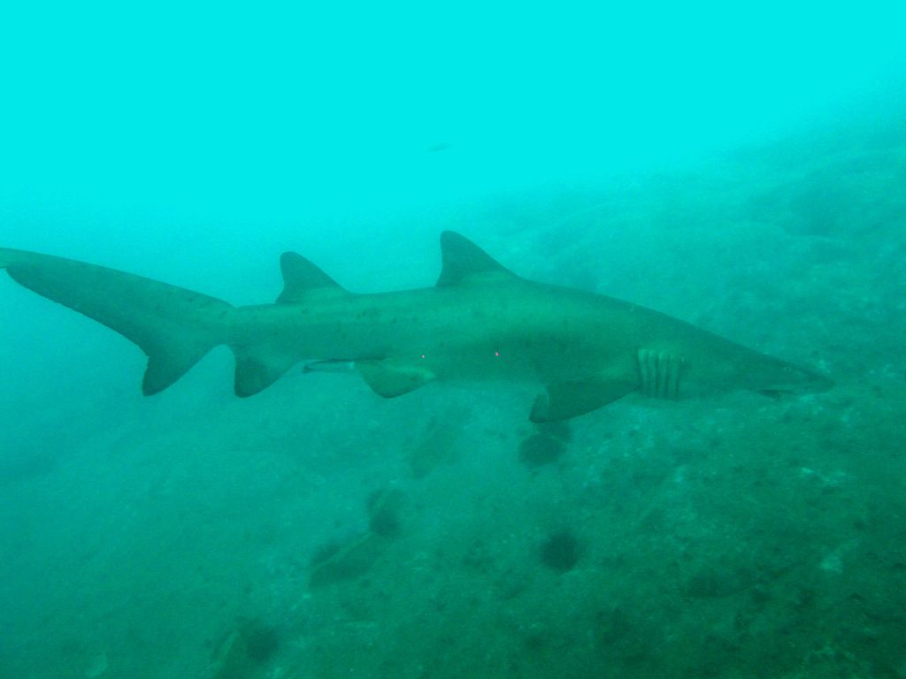 cdeb374d-7294-4c38-ba2e-50d494e60b1f