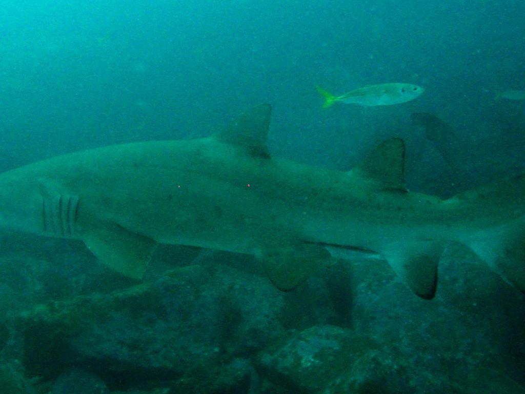 e5fb4bf5-46ba-43eb-9b99-9bf573572fd3