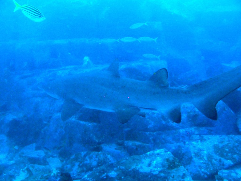 ed297a36-b4bb-47f1-a05c-b99cd2998643