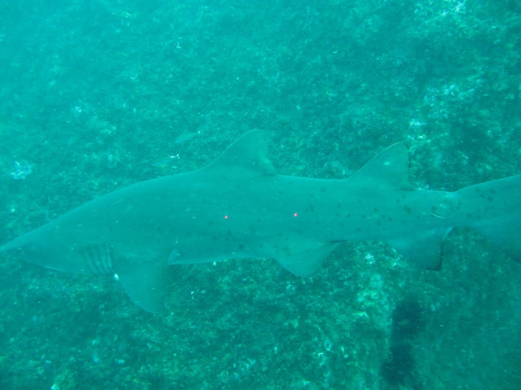 1e3e53e7-a317-46b0-8e67-8d1227efb85a