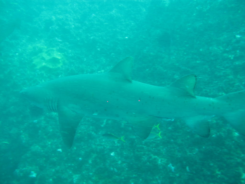 2bc39fb5-48a6-4fd8-ad92-d88db51a6b6a