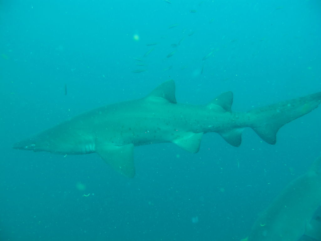 25731c82-45b7-4f88-a224-15b98bd481a8