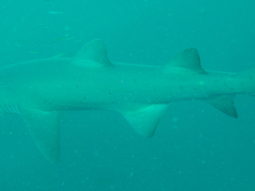 ffdfdc78-5cd7-4c5f-a37d-535a0b020018